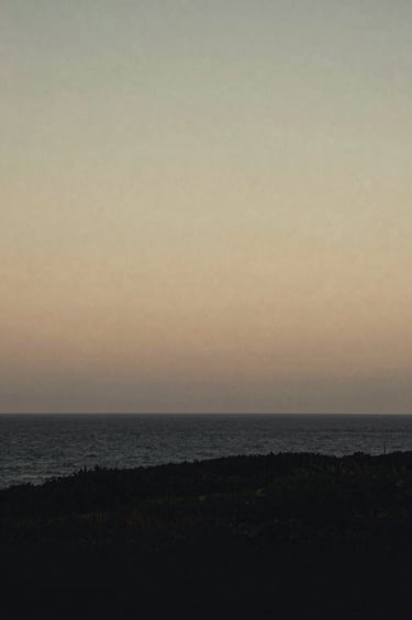 A quiet, moody landscape shot of a coastal horizon at dusk, captured with a cinematic film grain. The composition is minimalist, evoking a sense of nostalgia and calm. The colors transition from dark charcoal (#262626) to a muted, elegant beige (#C4B29A) in the sky.
