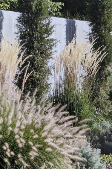 Ornamental grasses and natural planting beside a garden wall, creating movement, texture and seasona