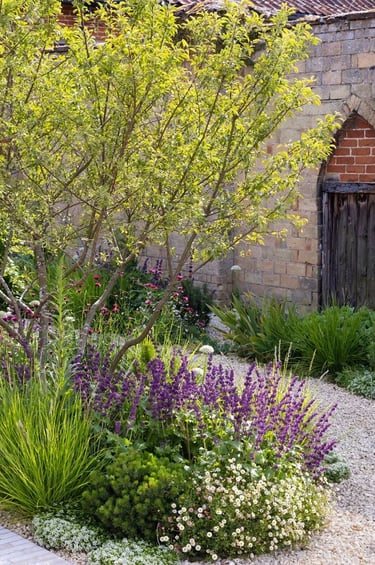 Layered garden planting with flowering perennials, shrubs and a brick wall, creating a natural outdo