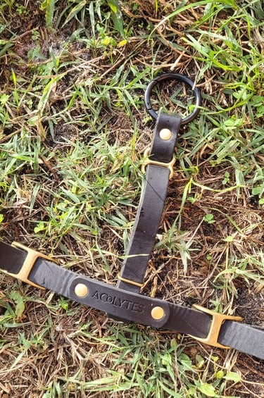 avis cliente garde-fou acolytes sellier