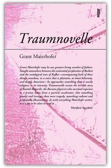 Traumnovelle front cover