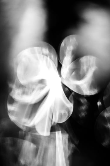 fotografia ficcional en blanco y negro de organismo sutil de luz