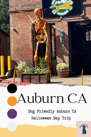 dog-friendly Auburn CA