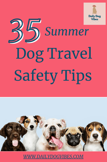 dog friendly travel monterey ca
