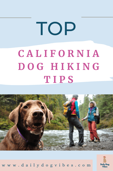 hiking with your dog in california