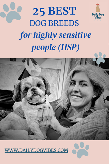 25 best dog breeds for highly sensitive people (HSP)