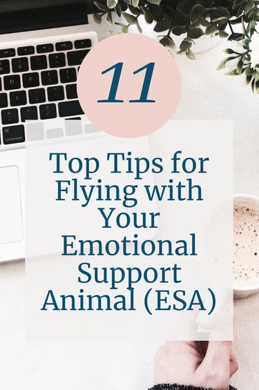 flight tips for traveling with emotional support animals