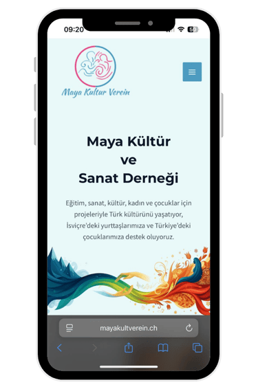 isviçre dernek web sitesi tasarımı