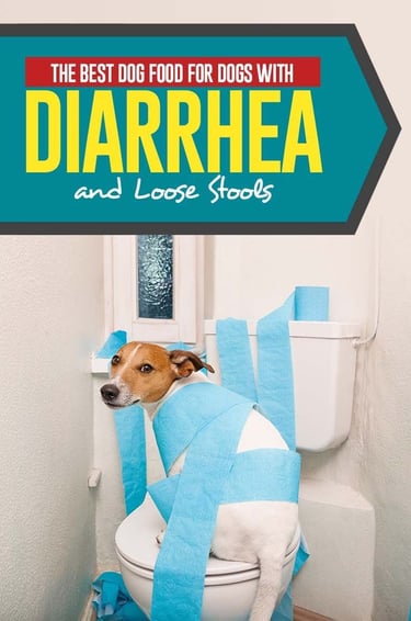 Dog food for Diarrhea