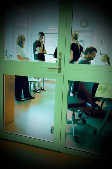 Diakonhjemmet sykehus,Voksenpsykiatrisk Vinderen, Helse omsorgsdepartementet, Statsforvalteren oslo