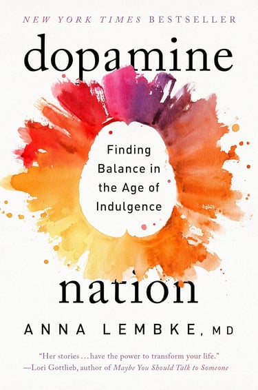 Dopamine Nation book cover