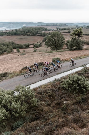 a group of cyclists riding down a road