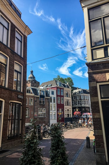 Donkere Gaard Utrecht