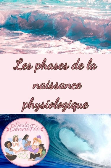 ebook phase de la naissance physiologique