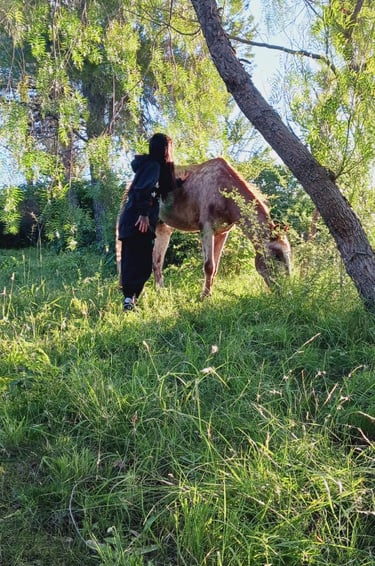 sanacion sistemica con caballos