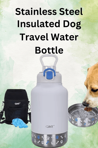 travel water bottle