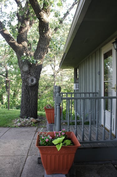 Welcome to Giant Oak Cabin!