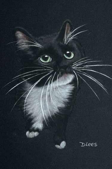 Soft pastel drawing of a Tuxedo black and white kitten