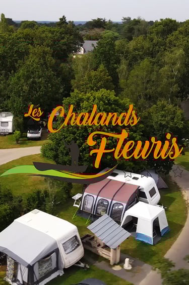 a group of tents and tents with trees in the background