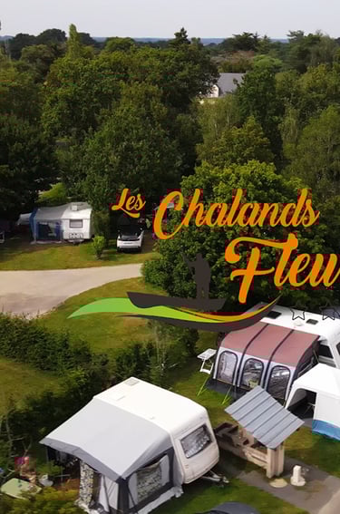 a group of tents and tents with trees in the background