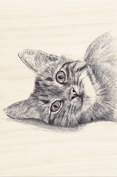portrait de chat au stylo BIC imprimé bois FSC