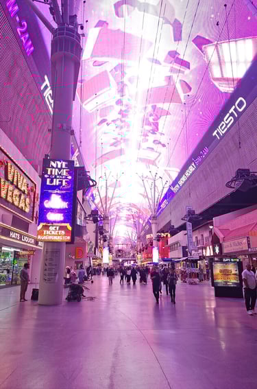 Finn's Footprints Las Vegas Nevada Budget Travel Review