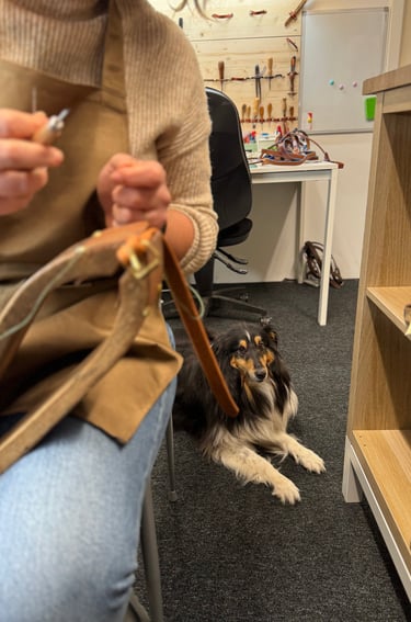 Atelier créatif fabrication collier et laisse en cuir pour chien à Carouge Genève