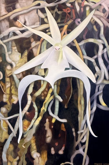 Christine Knize Ghost Orchid High Level Contemporary Botanical Art