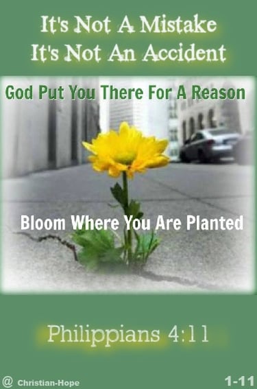 God put you there for a reason