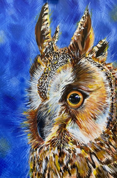 a owl painting