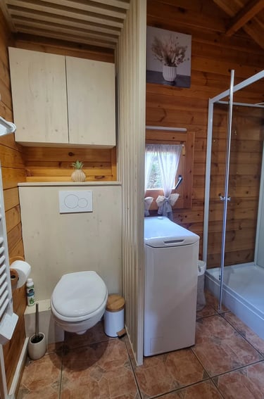 une salle de bain avec des toilettes