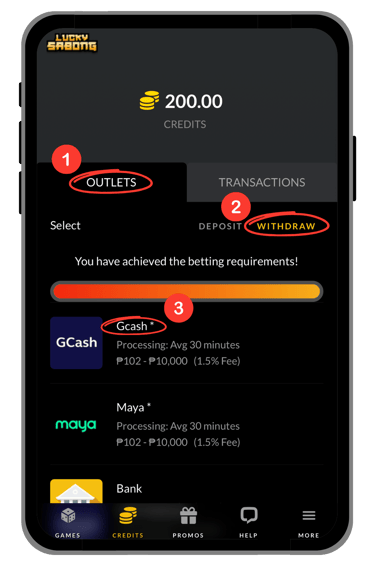 goperya account verification screen