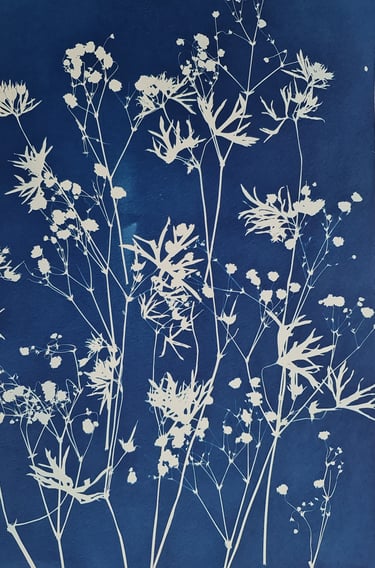 l'art du cyanotype