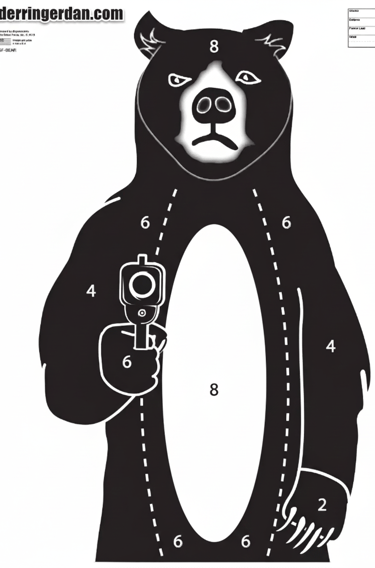 Bear Shooting Target