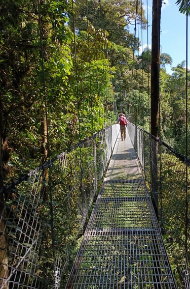 walking the hanging bridgets in la fortuna, costa rica.