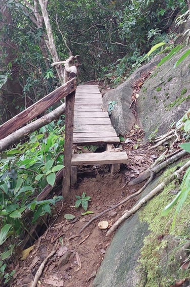 thailand khao lak lam ru hat lek nature trail