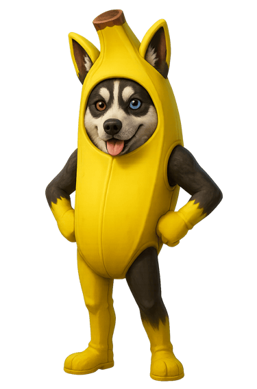 a dog dressed in a banana peeler costume