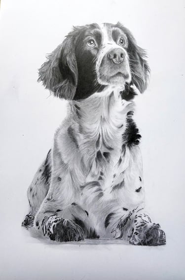 a dog sitting on a white background with a black and white drawing of a dog