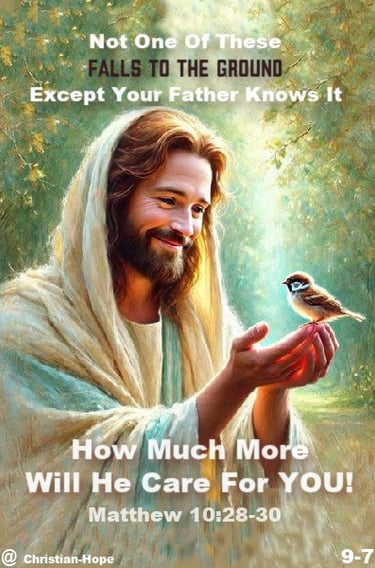 Every Hair Of Your Head Is Numbered