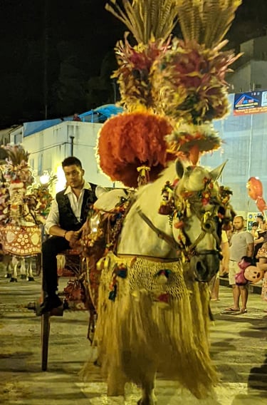 a man in a costume with a horse drawn on a horse
