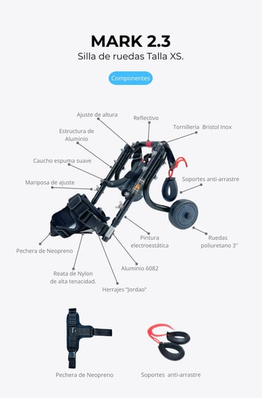 Perro con silla de ruedas ortopédica para perros, NUCLEUMPET Orthopedics en Bogotá Colombia.