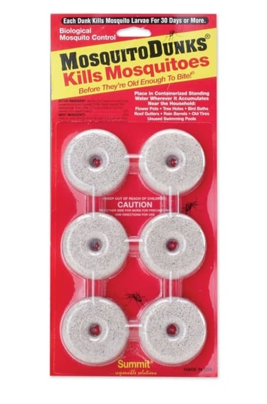 mosquito dunks in watering can to kill fungus gnat larvae in houseplant soil naturally