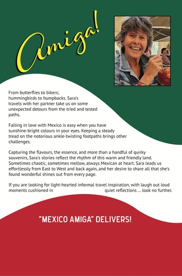 Back cover of Mexico Amiga book with author photo