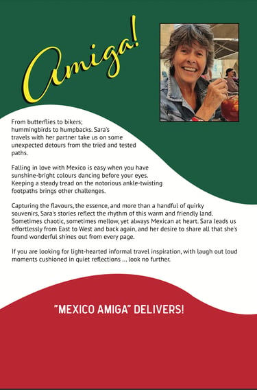 Detailed description of book content for "Mexico Amiga!"