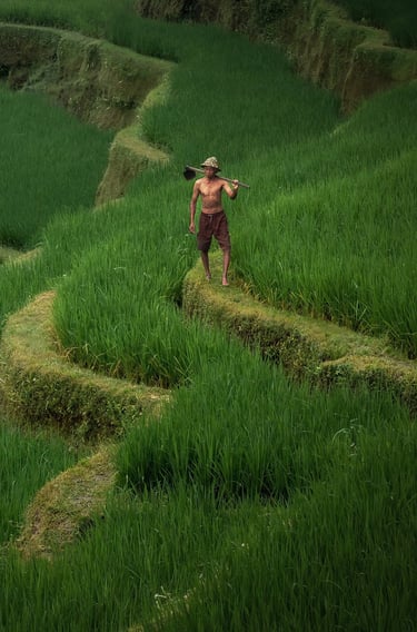 un homme au Lever de soleil sur les rizières en terrasses de Bali — Cyril Mouty photographe de voyage