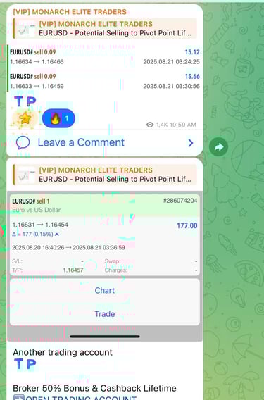 Komunitas forex gratis untuk belajar trading dan copy trade bersama