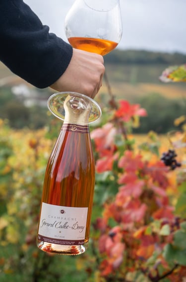 cuvée rosée callot demy