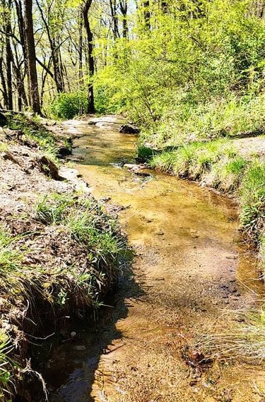 Huntsville, AL - Carter's Spring stream off North Plateau Loop in Monte Sano Park