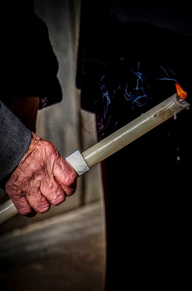 Ganador noviembre color