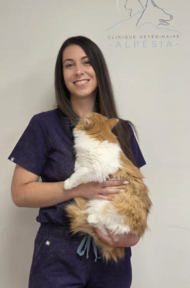 Dr roche mélanie clinique vétérinaire alpesia à Varces